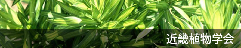 近畿植物学会